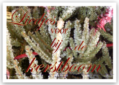 Play Keyboard Now - Liedjes voor bij de kerstboom